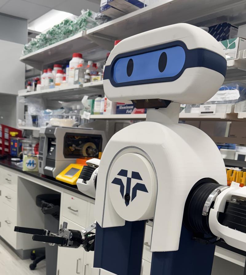 Elsie, the Tactus humanoid lab assistant, in the laboratory